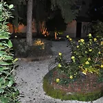 Il Mattino Ha L\'Oro In Bocca