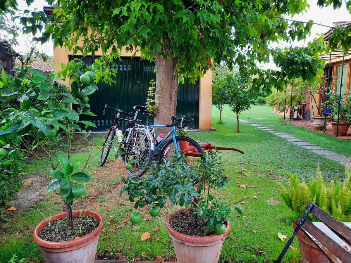 La Corte Di Stelio Bed & Breakfast
