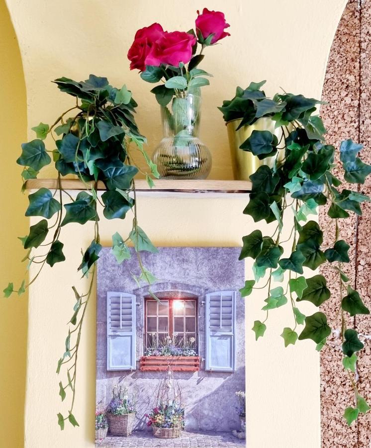 Guest house Rose Pisa