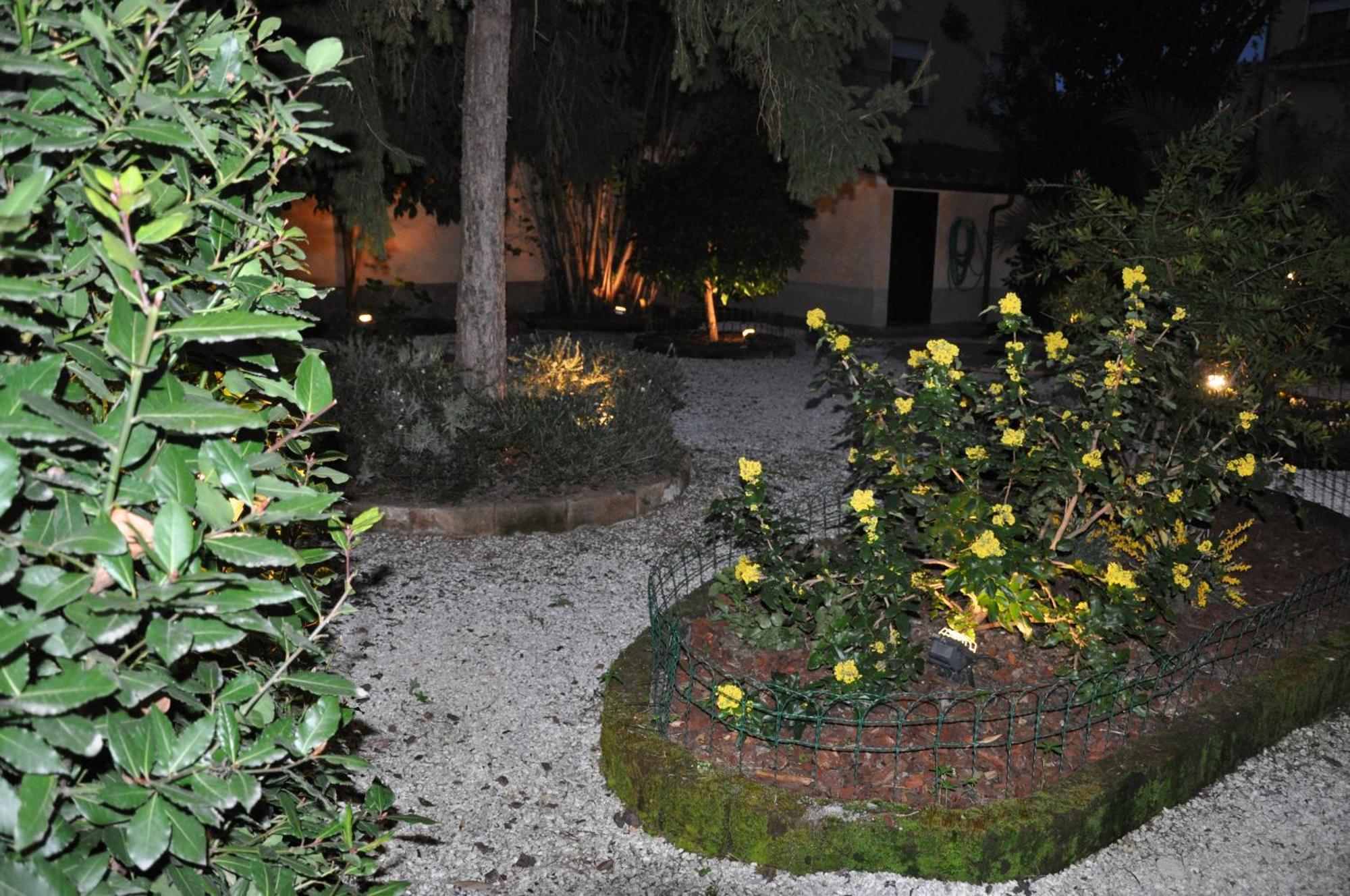 Il Mattino Ha L'oro In Bocca
