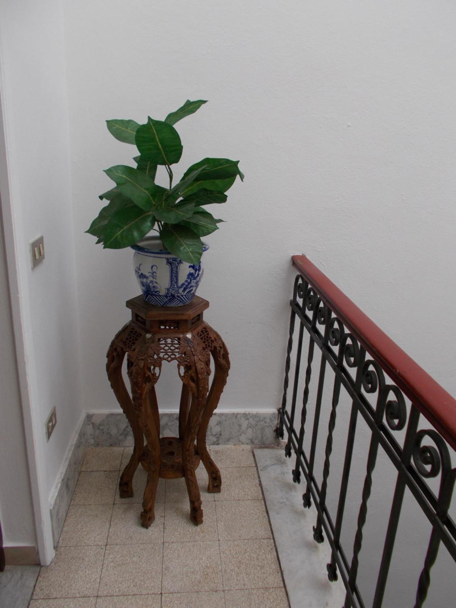Guest house Alba Pisa
