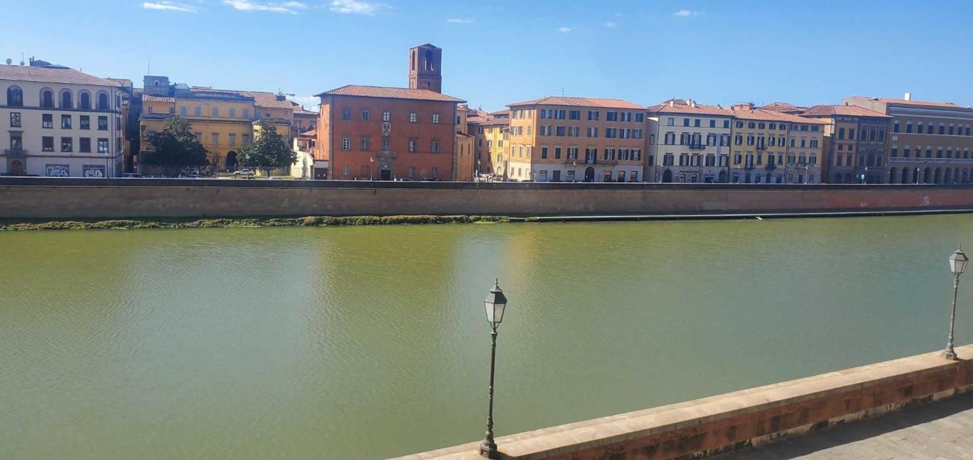 Căn hộ Paradiso View Pisa