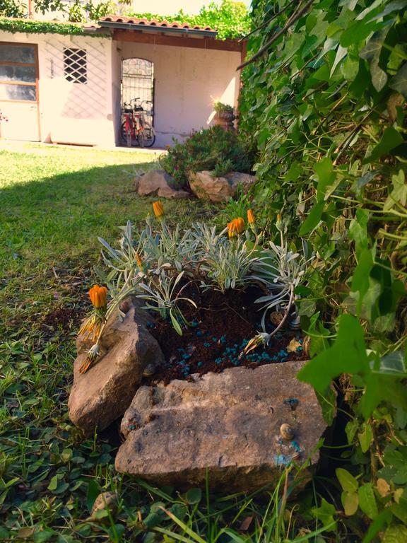 Harmony House Prestige Bed & Breakfast Pisa