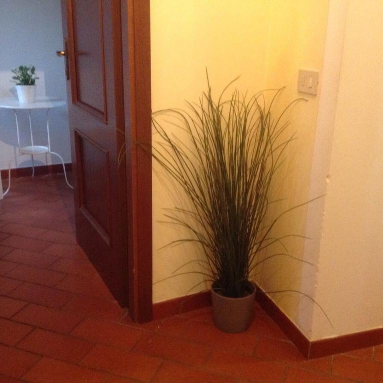 Tuscany House Centro Città Appartamento Pisa