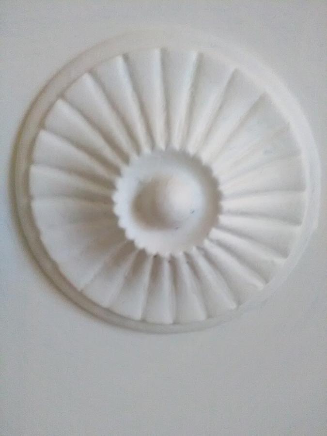 Alfea * Pisa
