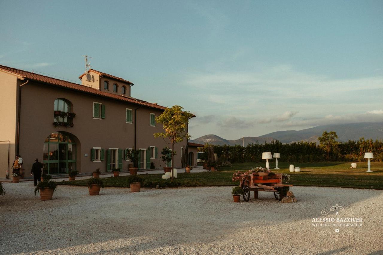 Fattoria L'olmetto * Pisa