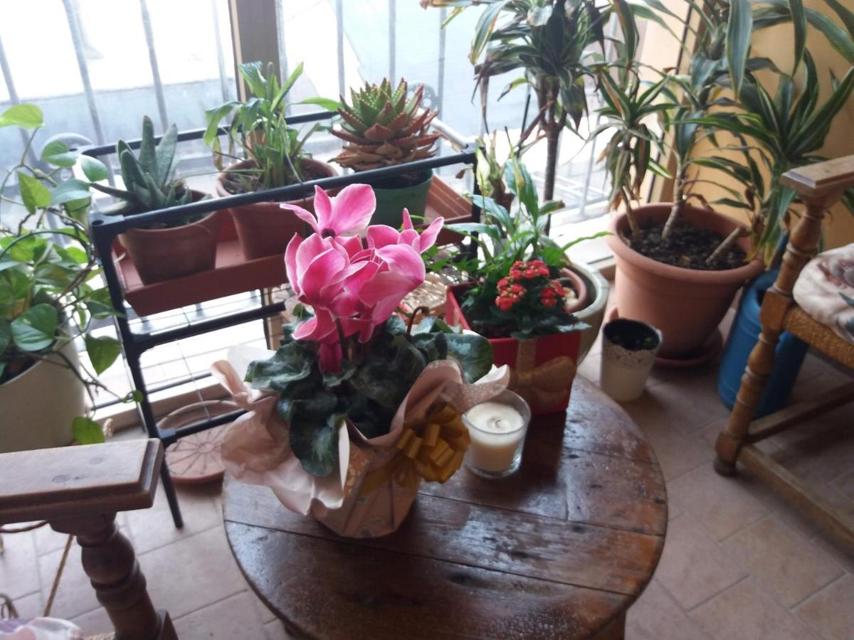 Acomodação com café da manhã  