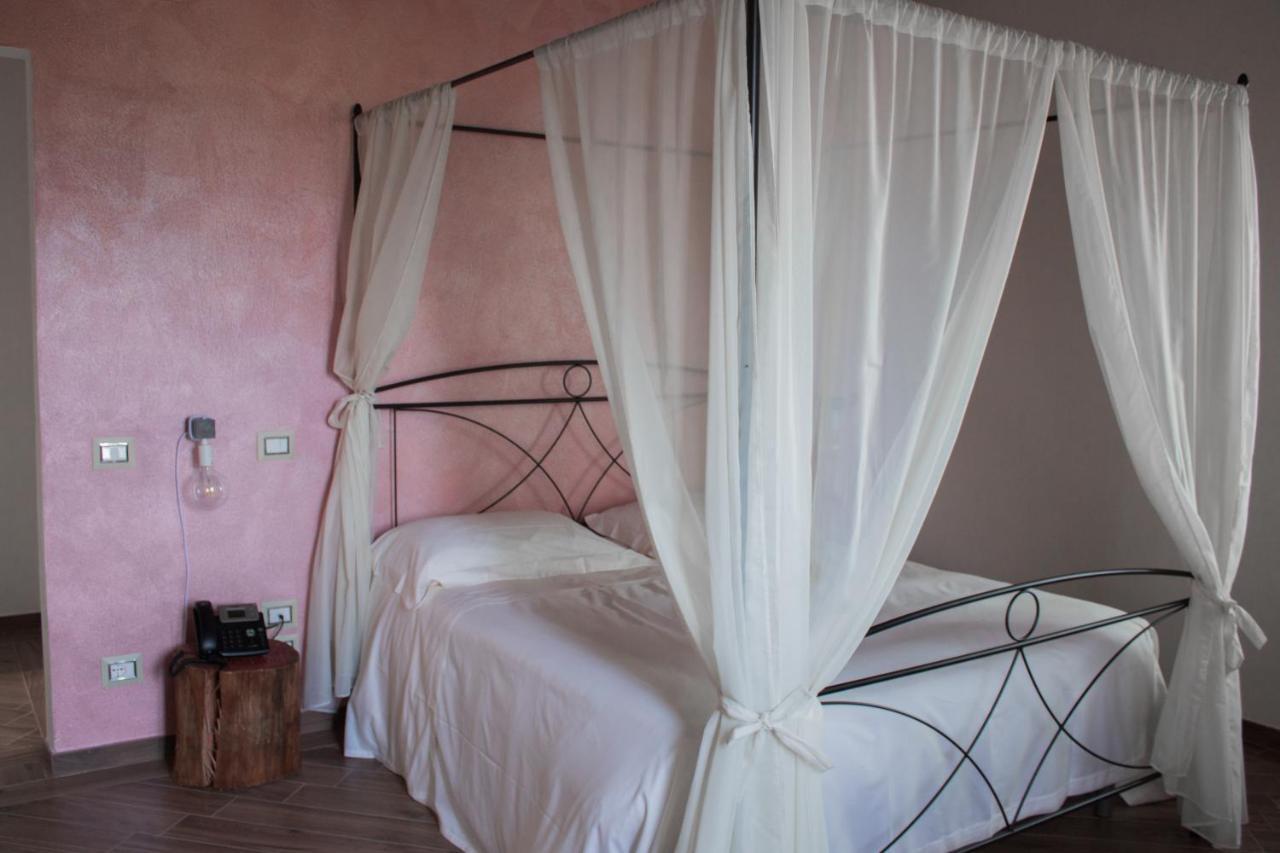 Fattoria L'olmetto Farm stay