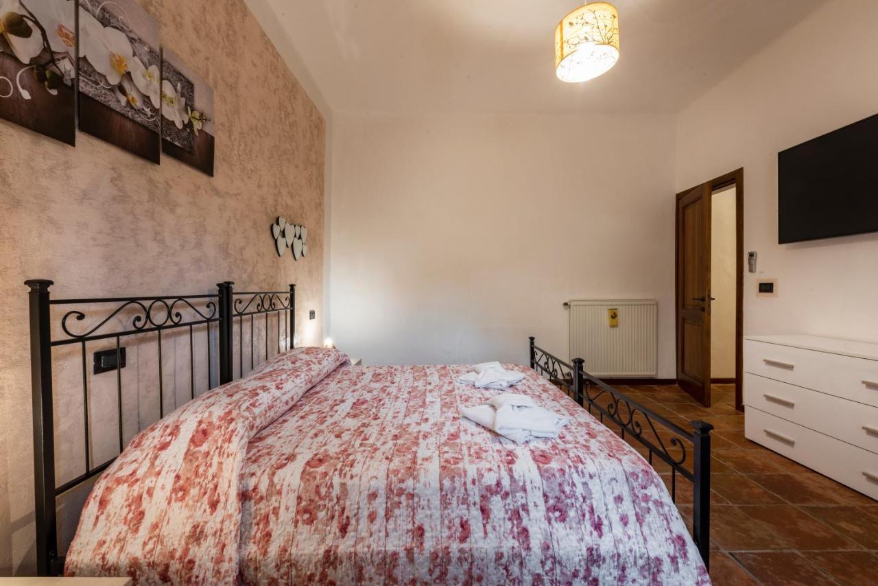 Conce Pisa