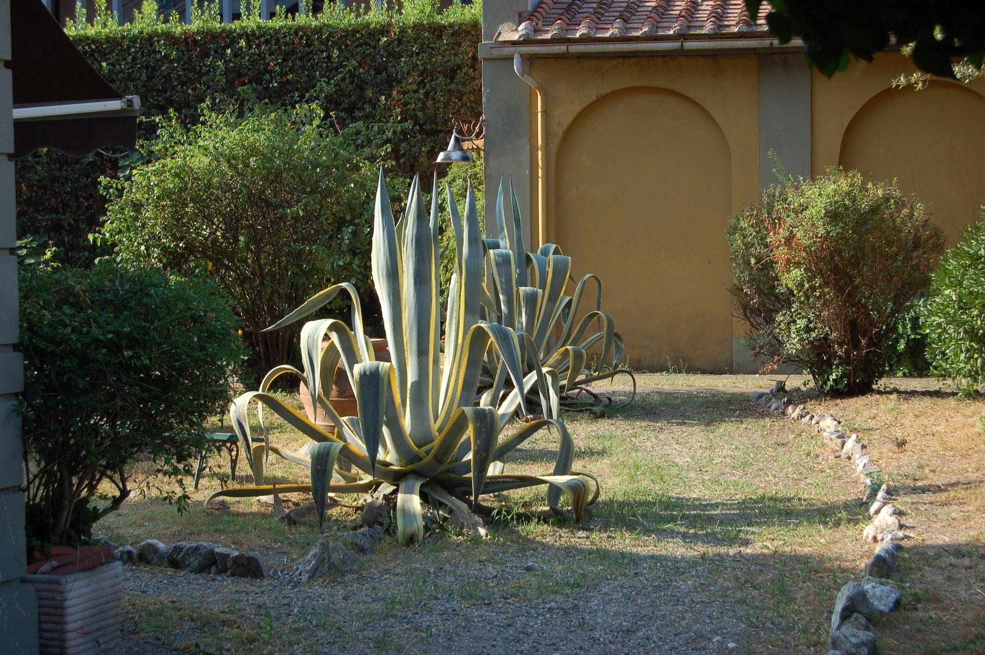 Bed & Breakfast Antica Piazza Dei Miracoli