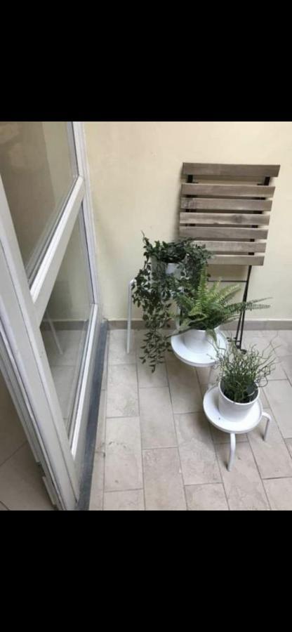 Delizioso Bilocale In Centro Storico Apartamento Pisa