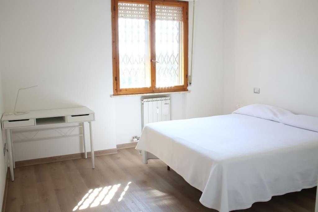 Căn hộ Delightful House - Airport And Cisanello Of