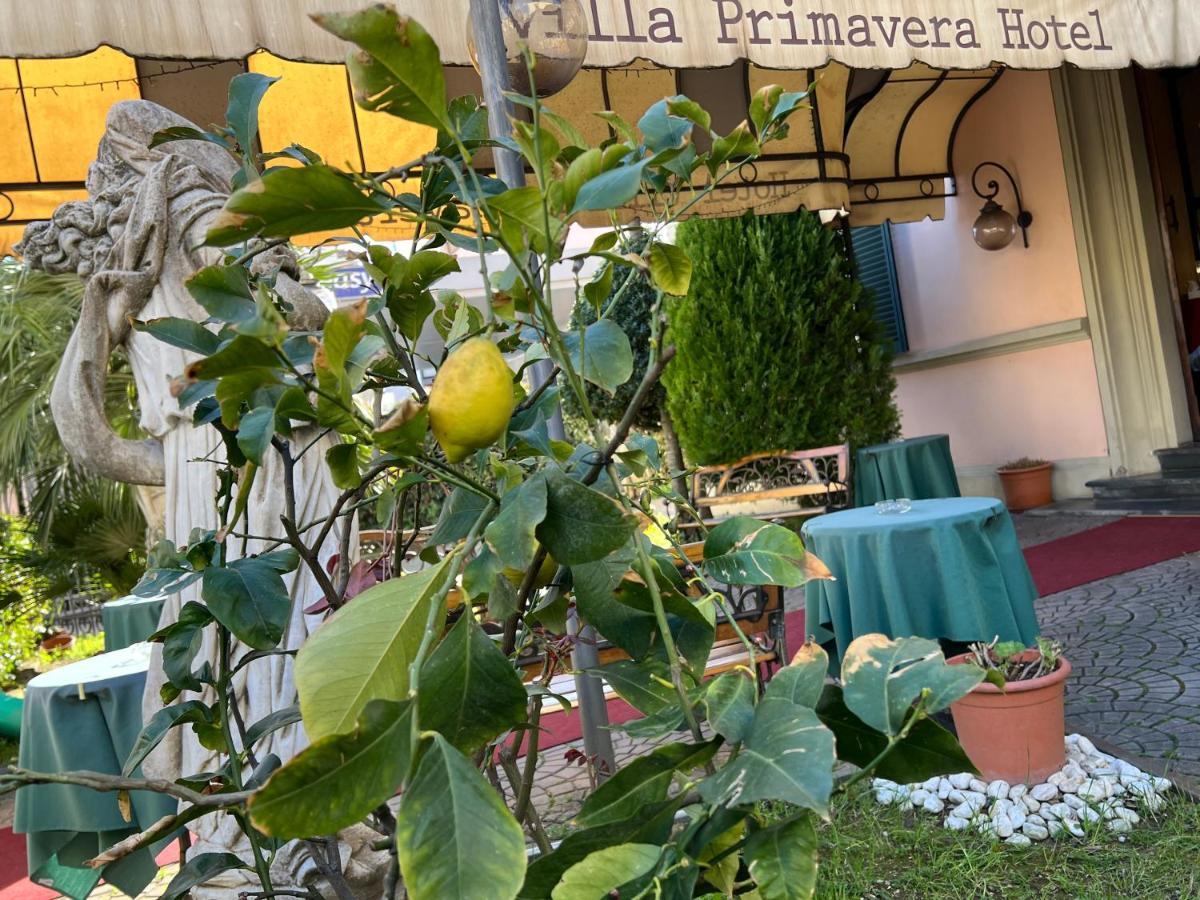 Primavera 2* Pisa