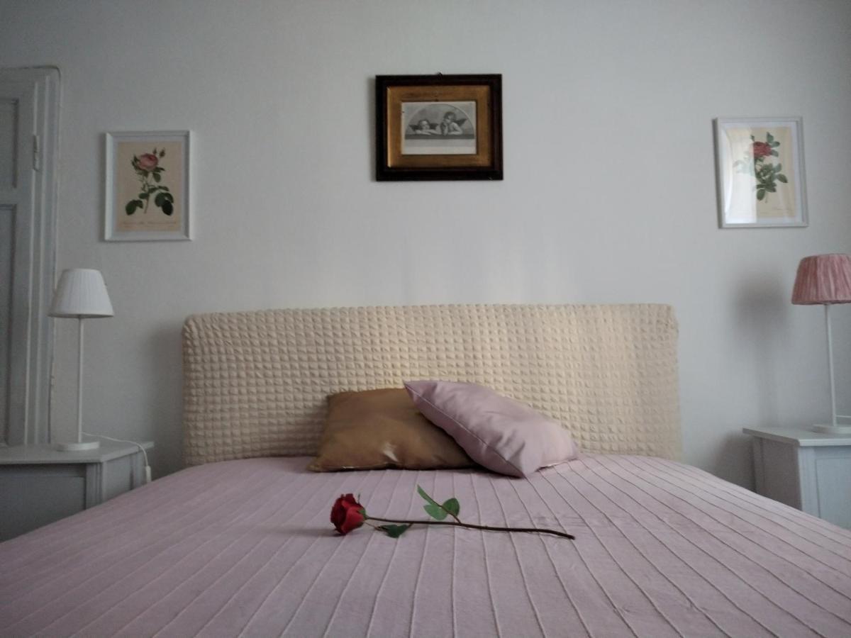 Apartamento House Di Giovanna Pisa