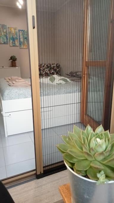Casa Amuni' Monolocale A Free Parking Wifi Appartement Pisa