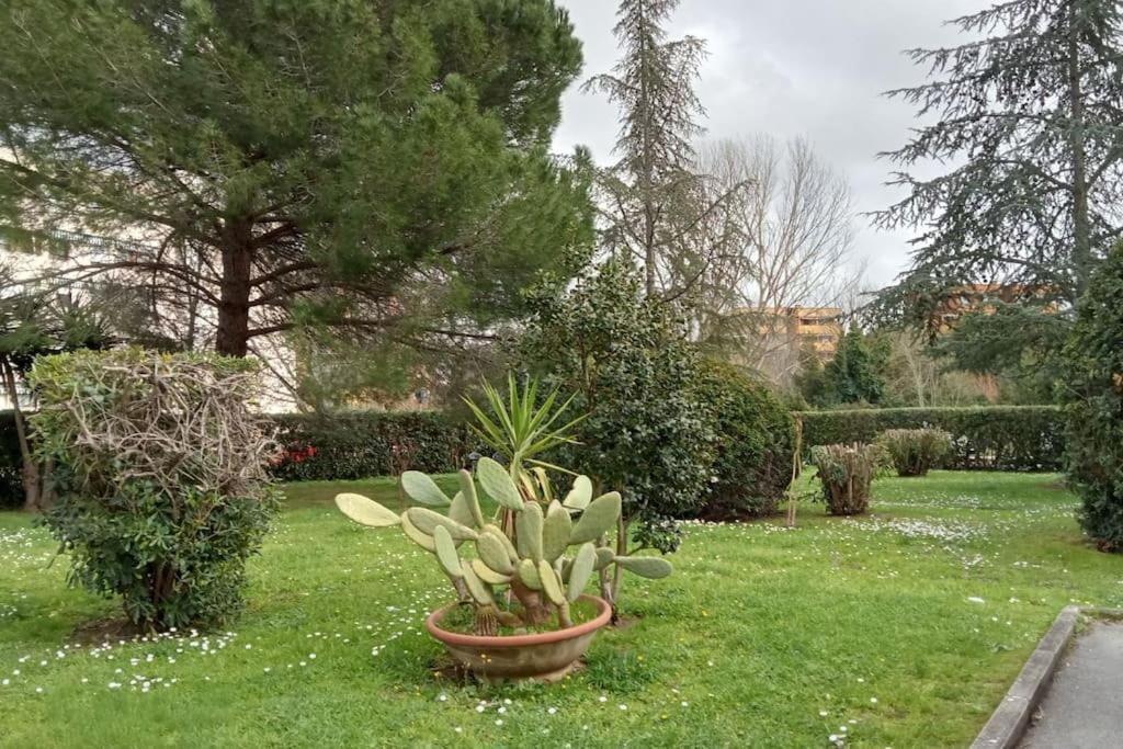 Casa Amuni' Monolocale A Free Parking Wifi Appartement