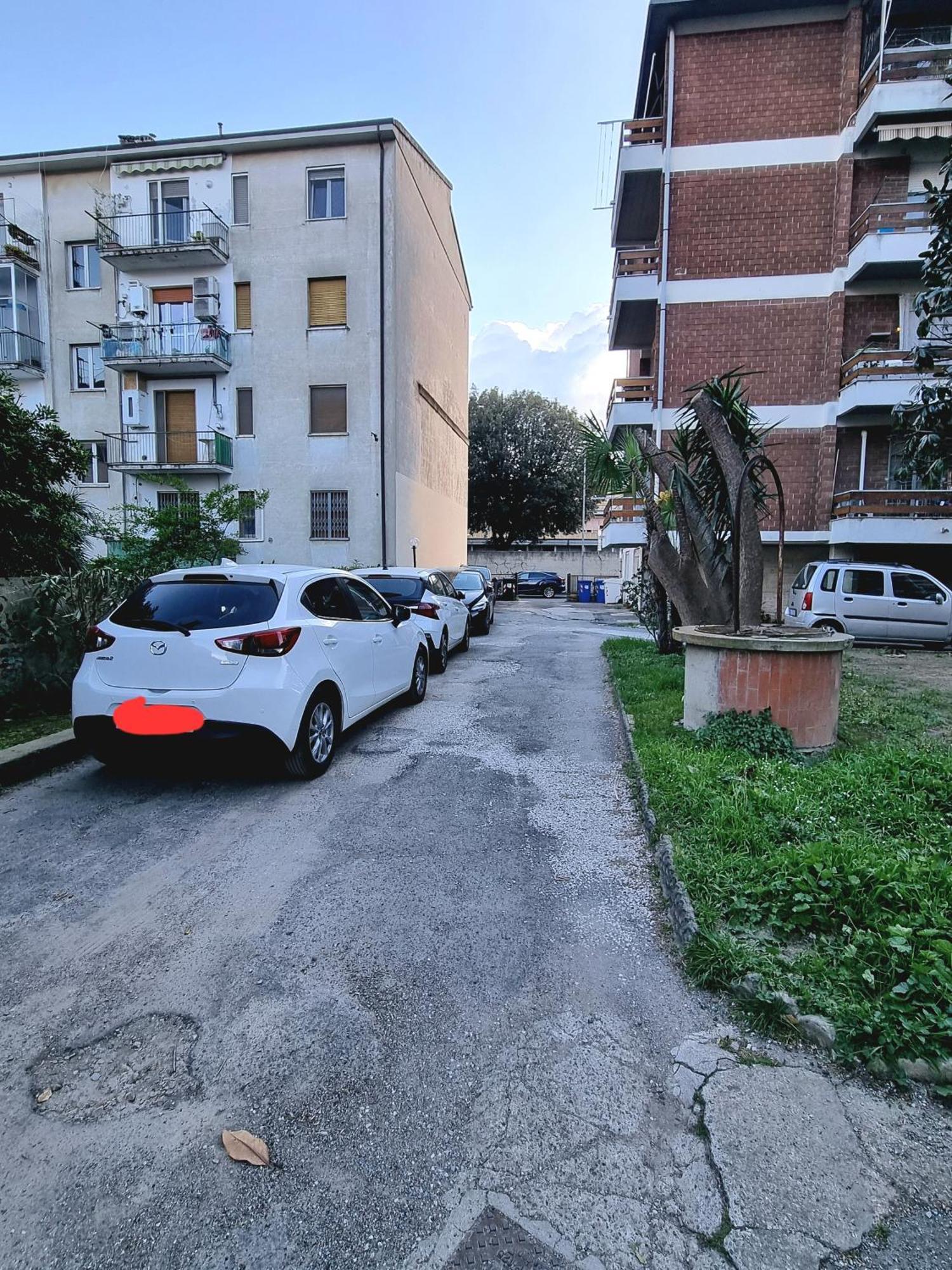 Sunbath House - Free Parking - Near Center * Pisa