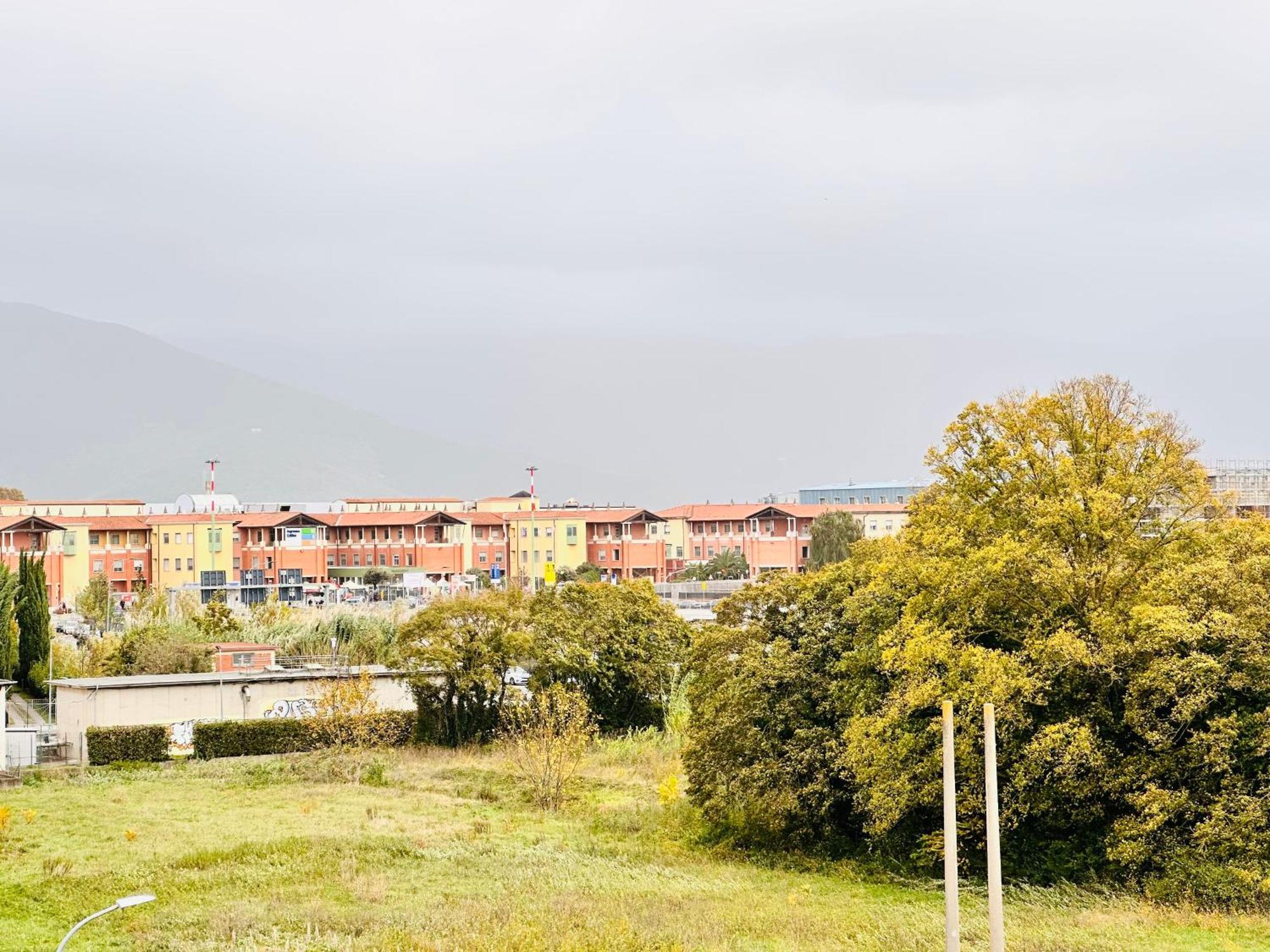 Cisanello