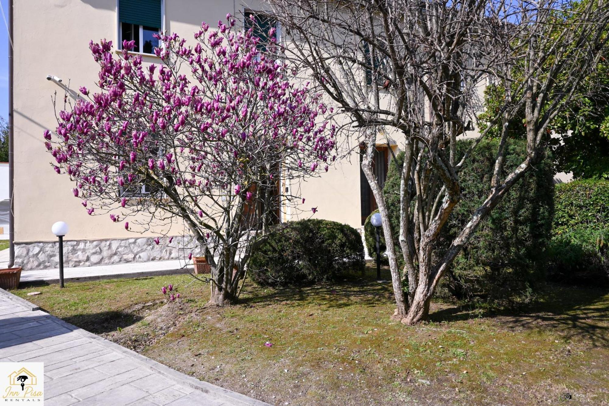 2 - Sunny Corner Flat *