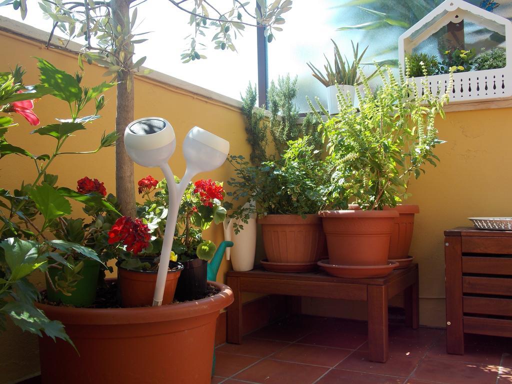Dei Cavalieri Bed & Breakfast *
