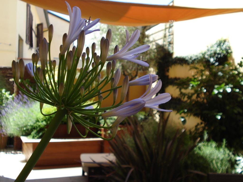 Acomodação com café da manhã  B&B Guerrazzi Pisa