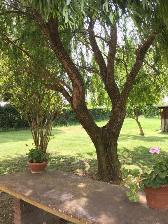 Villa Favilli *