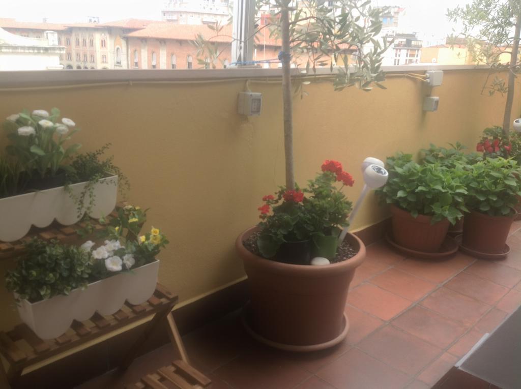 Dei Cavalieri