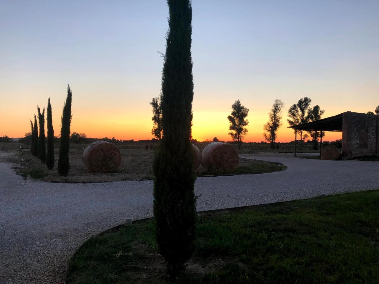 Farm stay Fattoria L'olmetto *