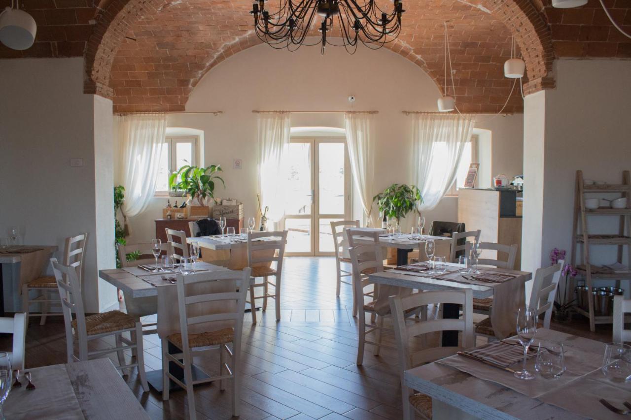 Fattoria L'olmetto Pisa