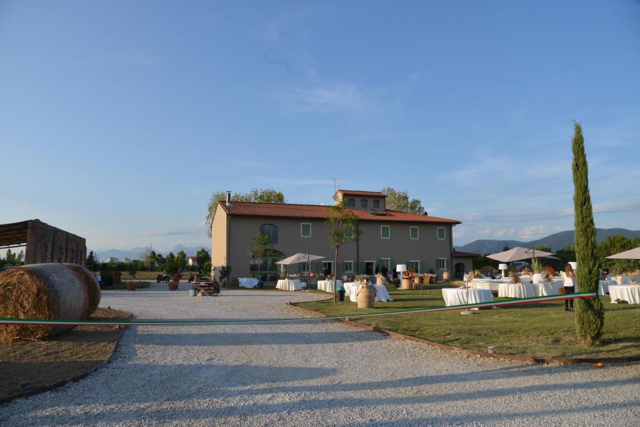 Farm stay Fattoria L'olmetto