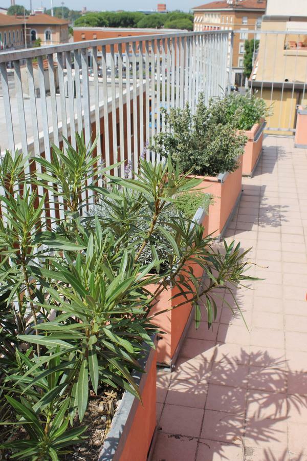 Bed & Breakfast Colombo