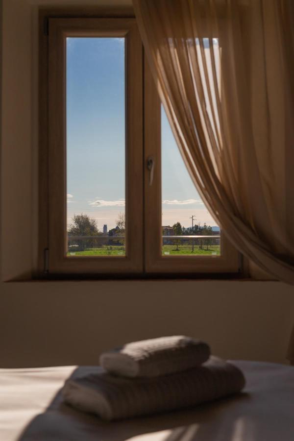 Fattoria L'olmetto Farm stay *