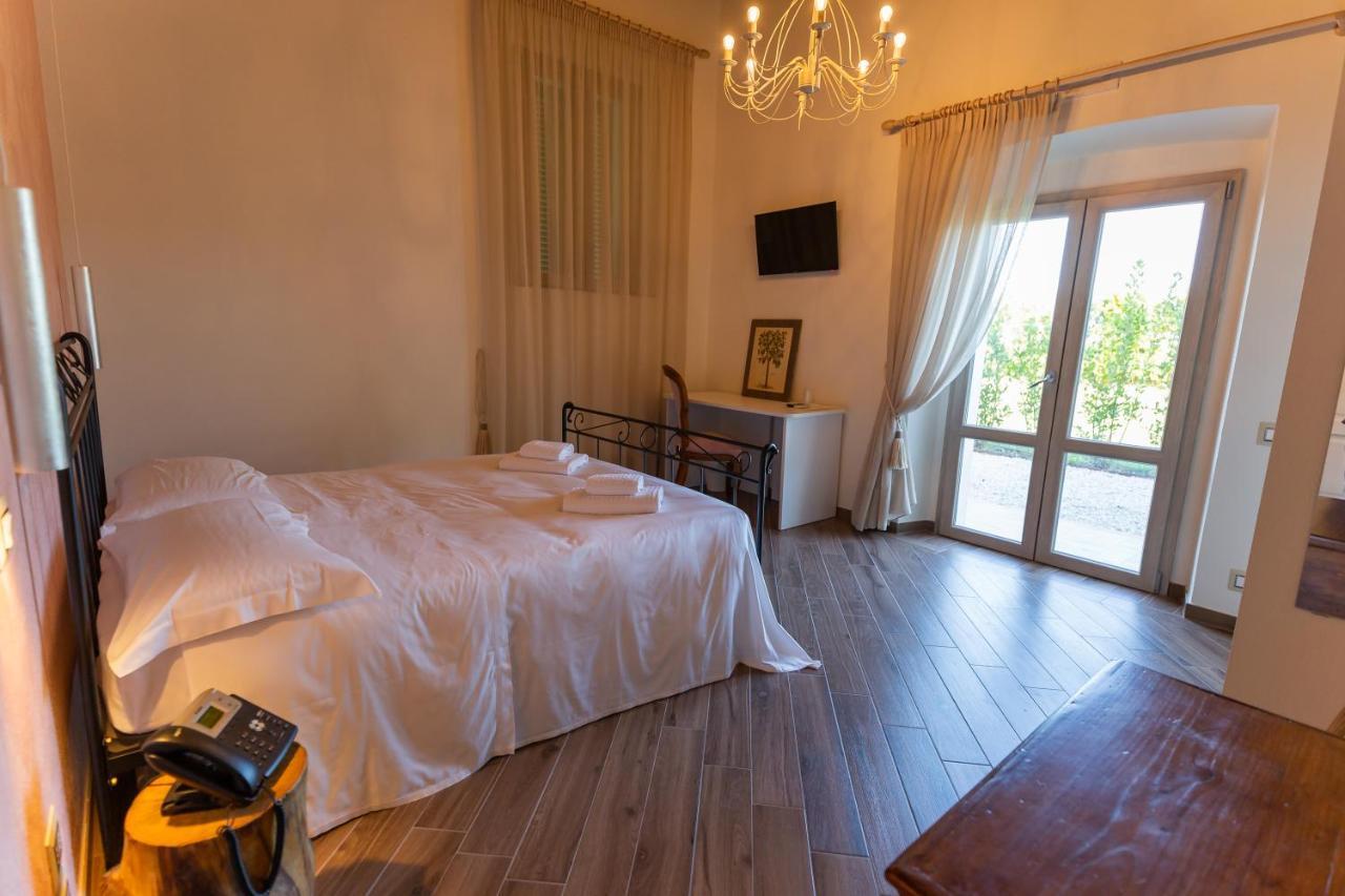 Farm stay Fattoria L'olmetto Pisa