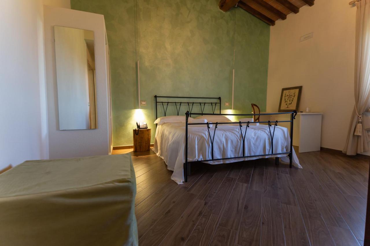 Fattoria L'olmetto Farm stay *
