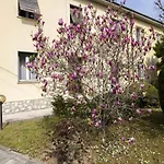 Sunny Corner Apartment