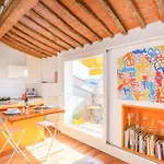 Piazza Dei Cavalieri Orange Attic Apartment