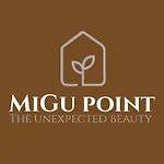 Migu Point Intero Appartamento Pisa