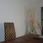 Il Bonsai