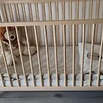 A Casa Di Nonno Luciano