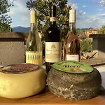 Villa Orsini - A Retreat in Pisa - Food&Relax