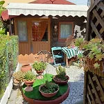 Nonna Lori\'S Chalet Pisa Zona Stazione E Aeroporto