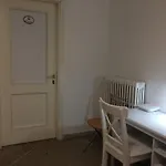 Pisa Rooms For Rent