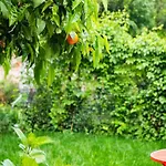 Marylou Gardenhouse