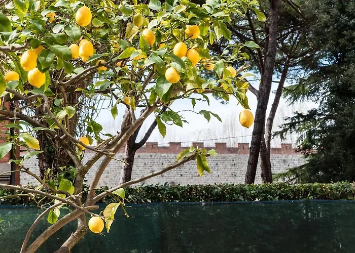 Lemon House Yellow