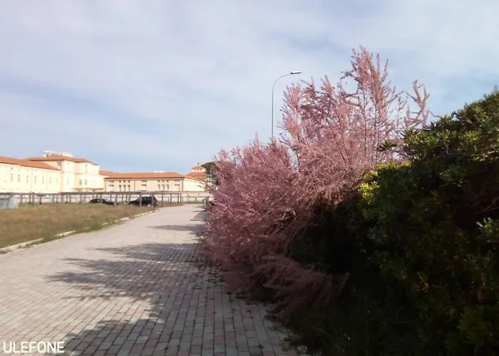 In parco naturale, con accesso diretto alla spiaggia