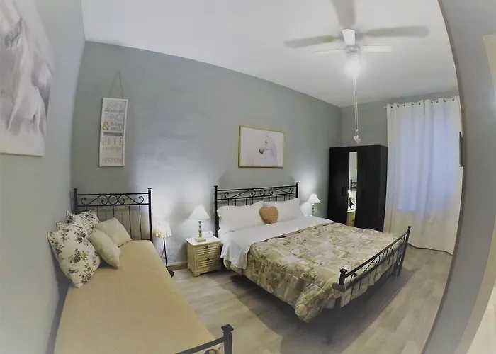 Biscuit B&B