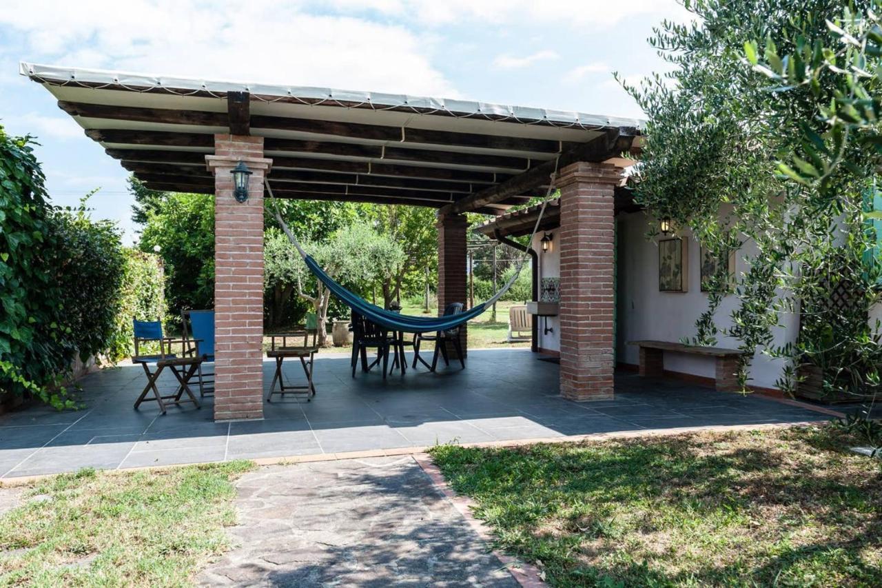 Charming In With Terrace And Shared Pool. * Pisa
