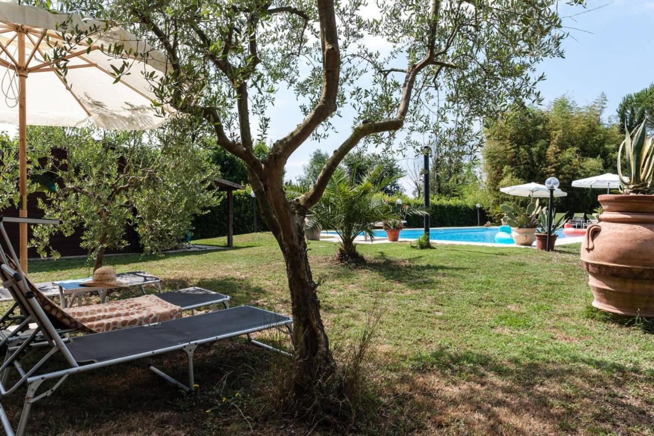 Charming In With Terrace And Shared Pool. Villa Pisa
