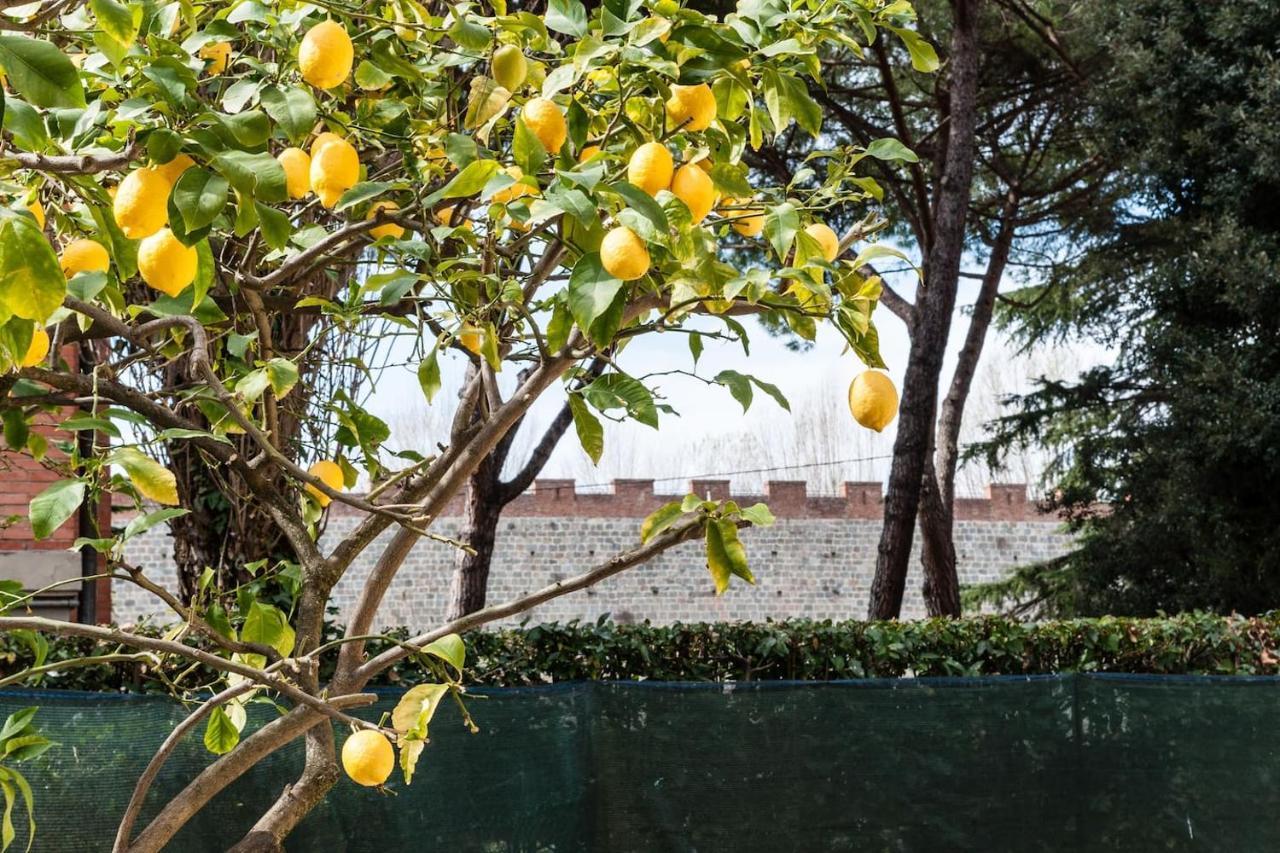 Apartment Lemon House Yellow *