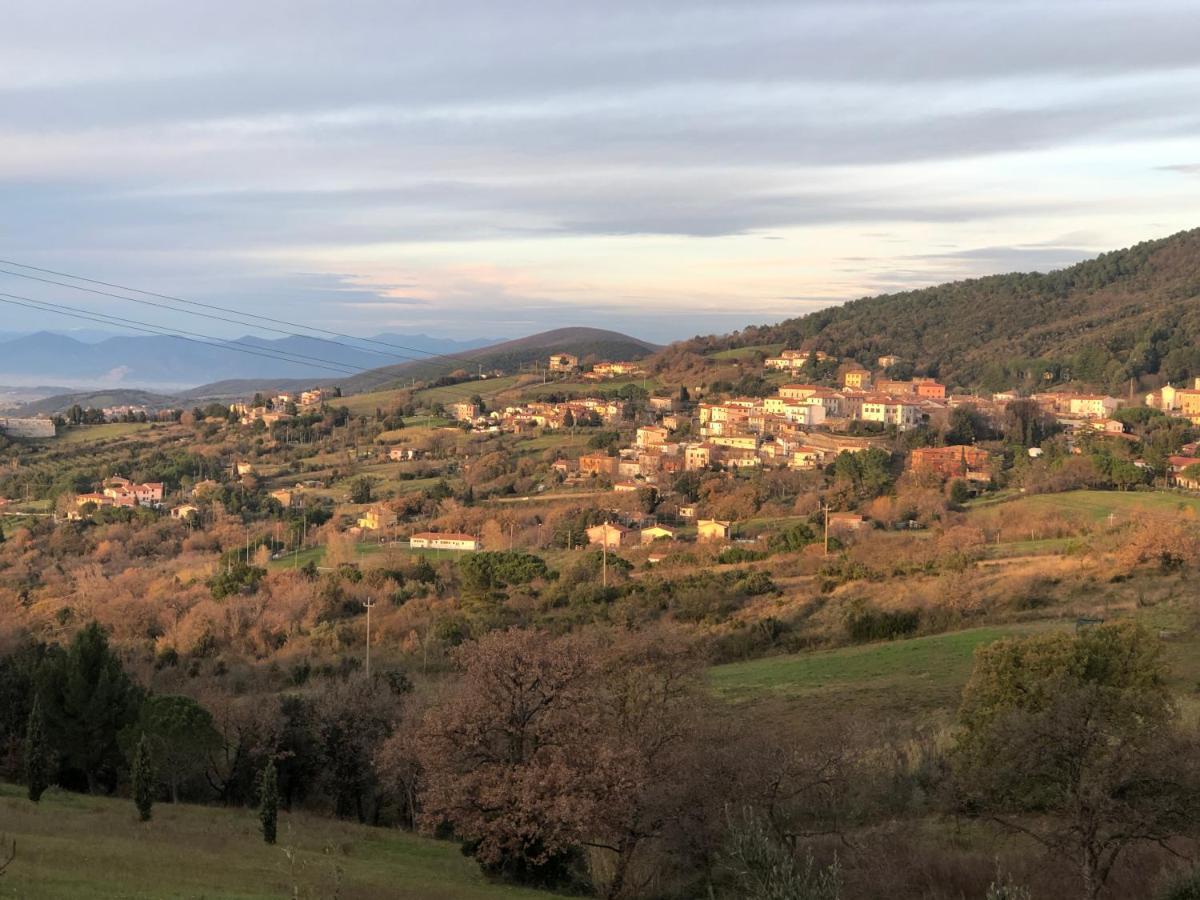 Apartment A Due Passi Dal Mare *